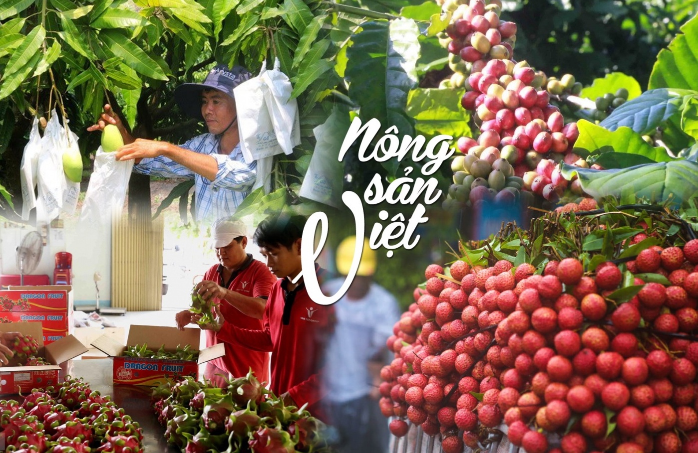 Gỡ “nút thắt” chính sách, giảm tranh chấp, tạo thuận lợi cho nông sản Việt