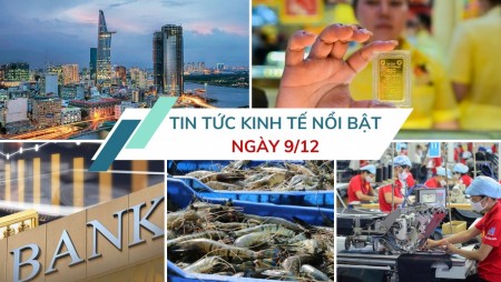 Tin tức kinh tế ngày 9/12: Xuất khẩu tôm bứt phá