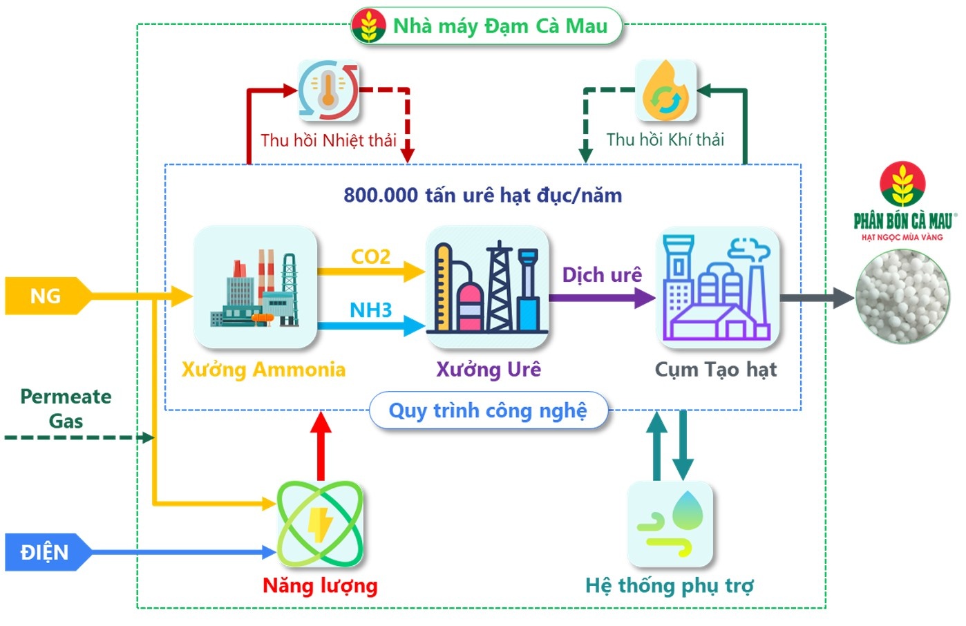 Dấu ấn KHCN đưa Nhà máy Đạm Cà Mau vào nhóm nhà máy urê hiệu quả hàng đầu thế giới