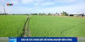 [VIDEO] Bảo vệ sức khỏe đất để nông nghiệp bền vững