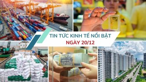 Tin tức kinh tế ngày 20/12: Xuất nhập khẩu lập kỷ lục