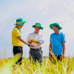 Phân bón Cà Mau 2025: Vượt “gió ngược” nhờ năng lực nội sinh