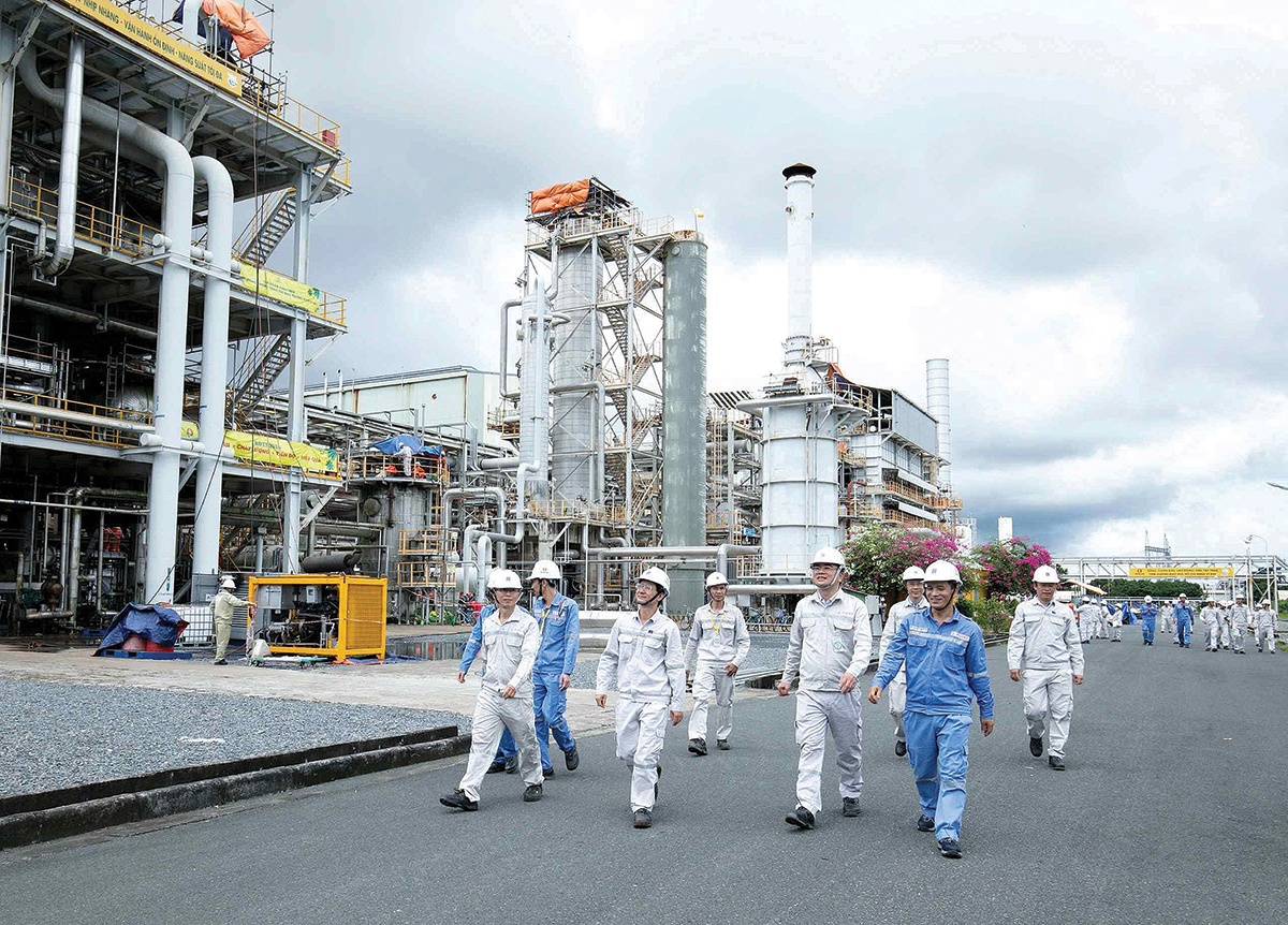 “Hạt giống Việt” nở mùa xuân mới