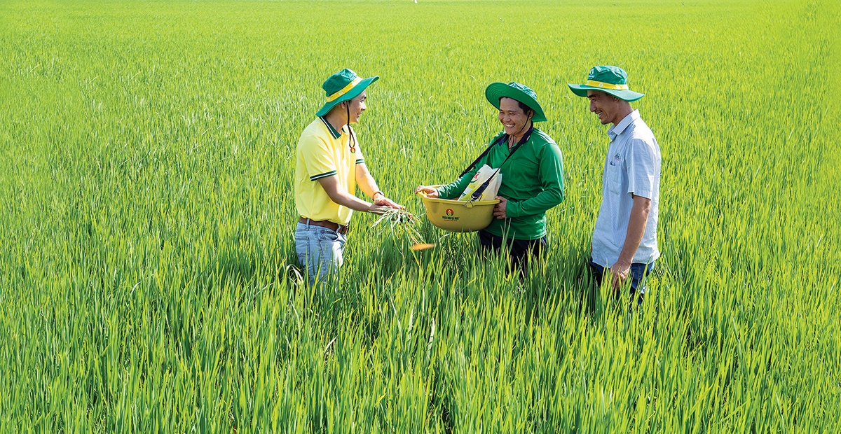 “Hạt giống Việt” nở mùa xuân mới