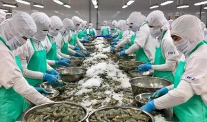 Doanh nghiệp xuất khẩu thủy sản ứng phó với căng thẳng tại Trung Đông