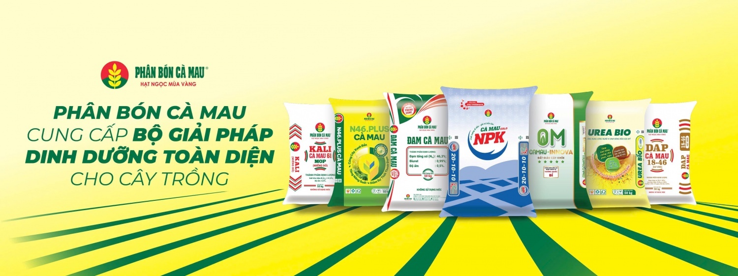 PVCFC: Thúc đẩy tiêu thụ, mở rộng thị trường và đẩy mạnh M&A, tạo động lực tăng trưởng mới