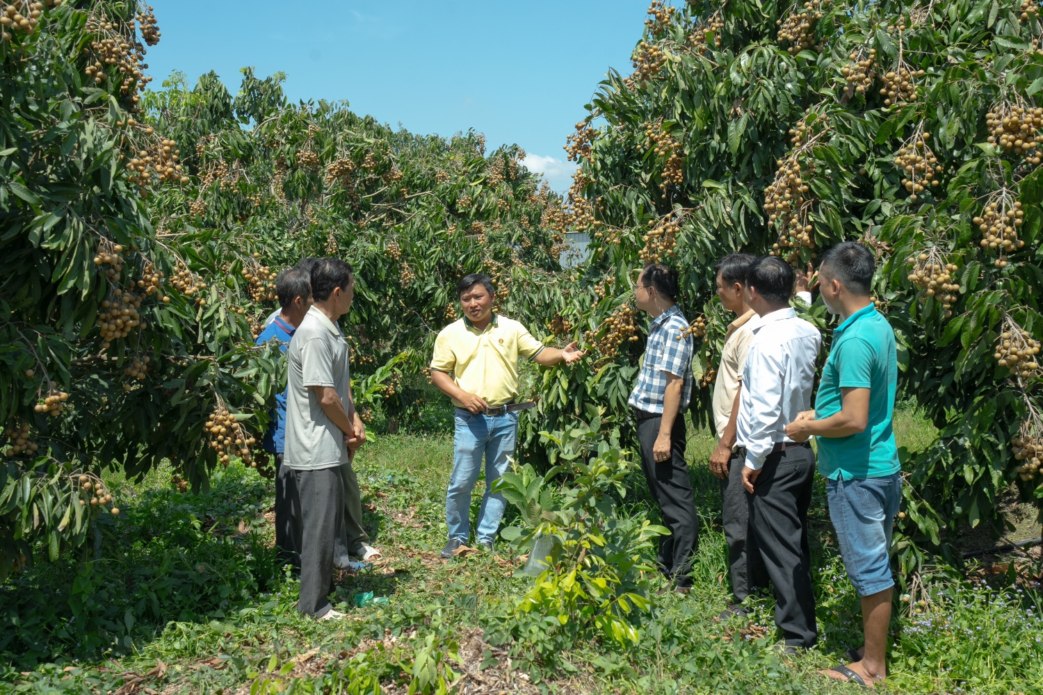 Phân Bón Cà Mau: Tính trước mùa vụ để vững chãi “mùa vàng”