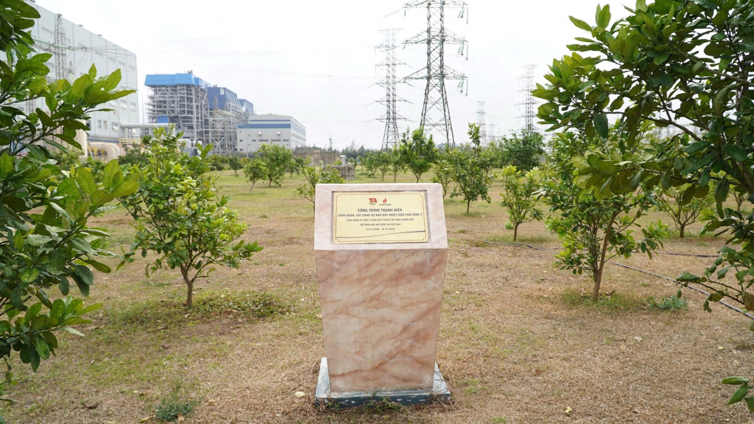 Tươi mãi màu xanh thanh niên tại NMND Thái Bình 2 Thái Bình 2 tháng thanh niên 2026