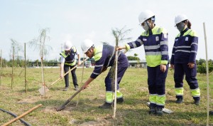 Thanh niên NMNĐ Thái Bình 2 xung kích bảo vệ môi trường