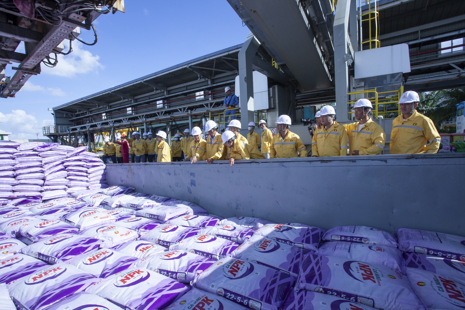 Phân bón Cà Mau giữ vững danh hiệu Hàng Việt Nam chất lượng cao năm 2026