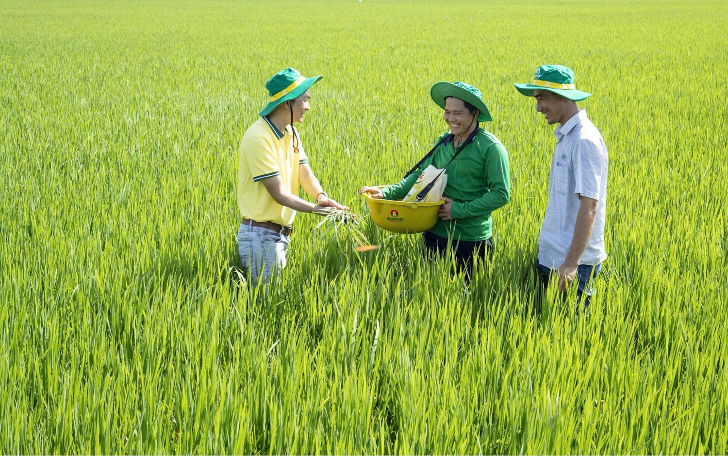 Phân bón Cà Mau giữ vững danh hiệu Hàng Việt Nam chất lượng cao năm 2026