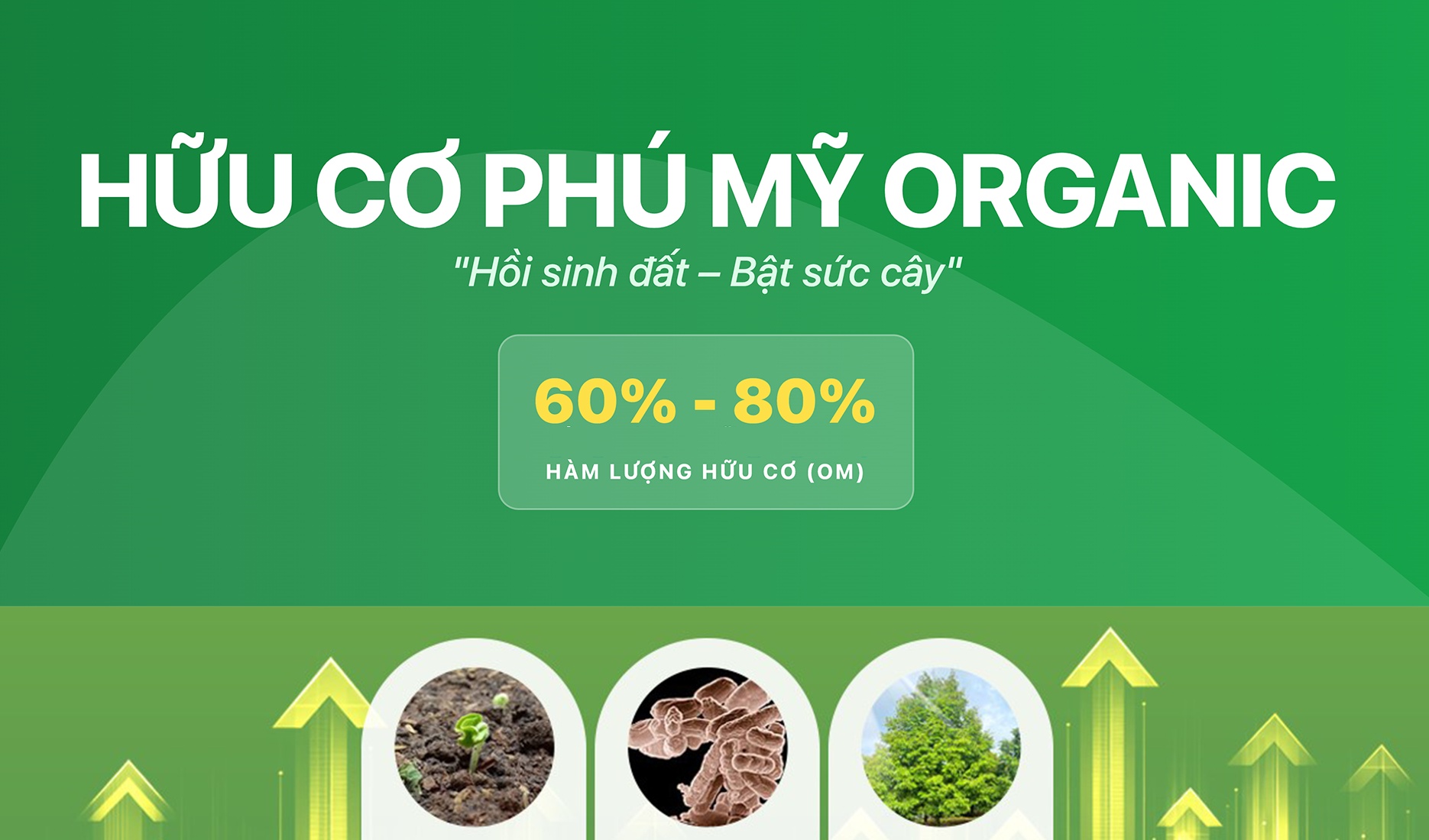 Hữu cơ Phú Mỹ: Giải pháp cho canh tác bền vững