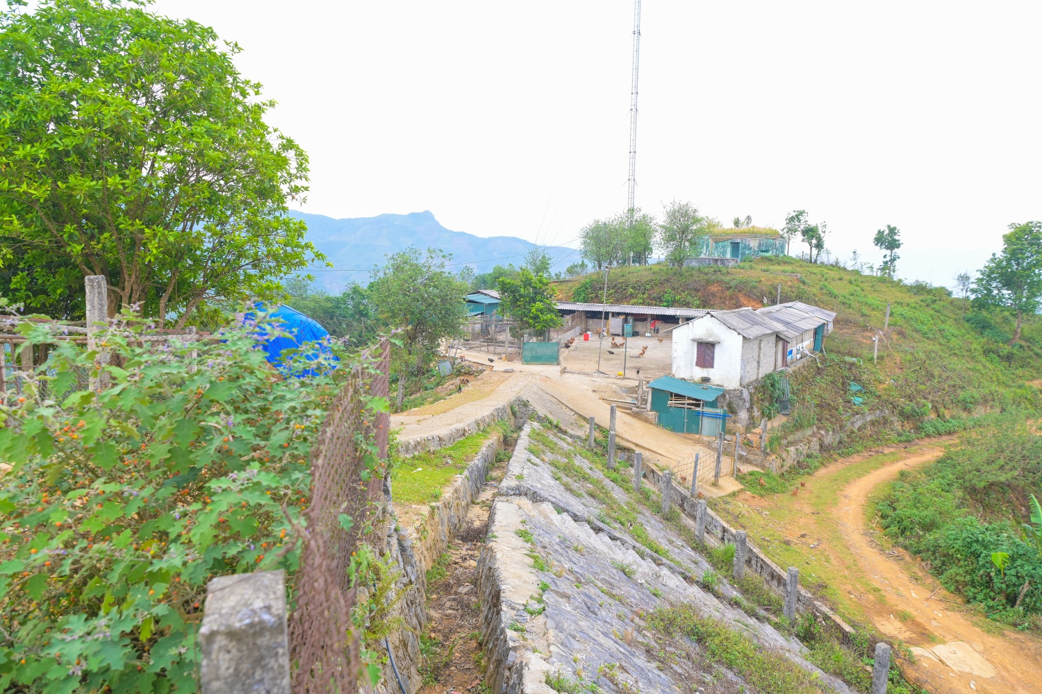 Toàn cảnh khu tăng gia của đơn vị