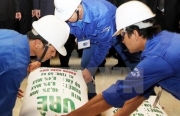 Doanh nghiệp phân bón mong chờ 