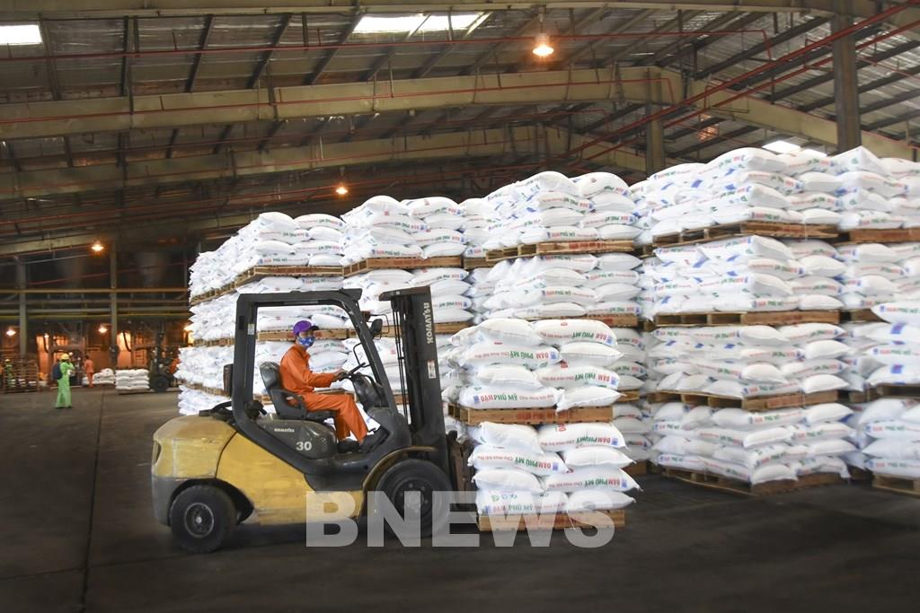 Giá phân bón thế giới tăng cao: Doanh nghiệp nỗ lực sản xuất cung ứng ra thị trường