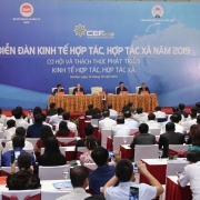 Tổ chức Diễn đàn kinh tế tập thể, hợp tác xã