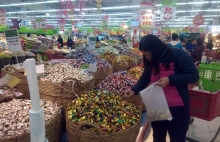 cay mai hon 120 tuoi duoc chao ban 3 ty dong o mien tay