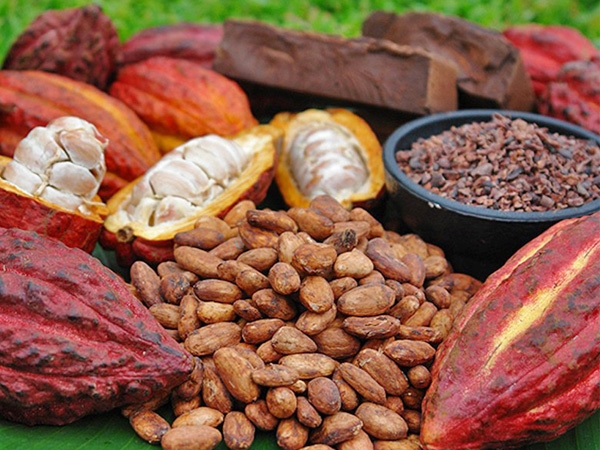 Ảnh minh hoạ,https://kinhtexaydung.petrotimes.vn