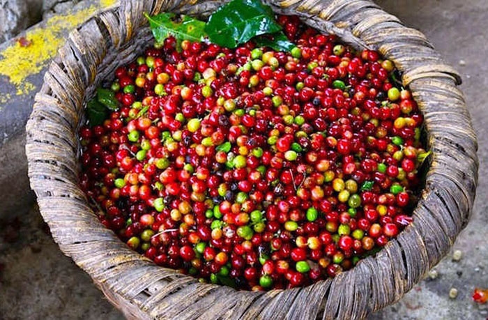 Ảnh minh hoạ.https://kinhtexaydung.petrotimes.vn