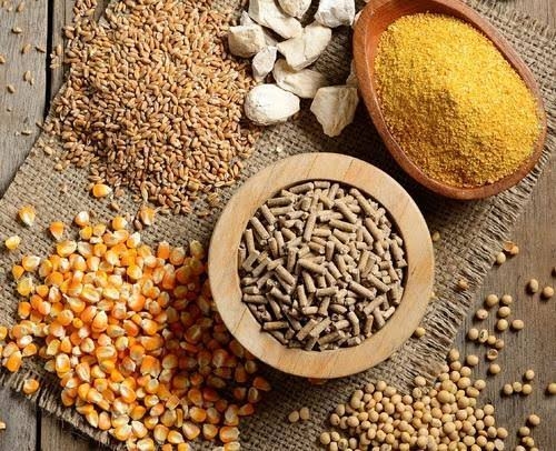 Ảnh minh hoạ.https://kinhtexaydung.petrotimes.vn Ảnh minh hoạ.https://kinhtexaydung.petrotimes.vn