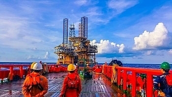 Tin thị trường: dầu từ bỏ mức tăng đỉnh, khí phục hồi hoàn toàn