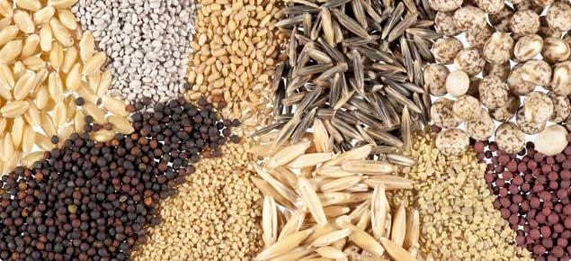 Ảnh minh hoạ. https://kinhtexaydung.petrotimes.vn Ảnh minh hoạ. https://kinhtexaydung.petrotimes.vn