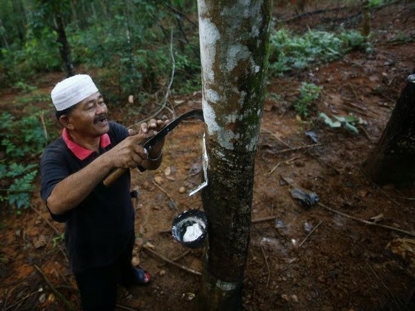 Ảnh minh hoạ. https://kinhtexaydung.petrotimes.vn Ảnh minh hoạ. https://kinhtexaydung.petrotimes.vn