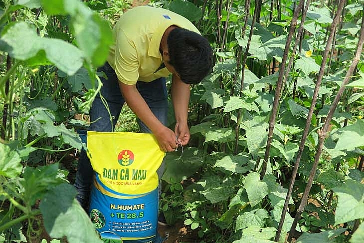 Hài hòa lợi ích của doanh nghiệp và nông dân
