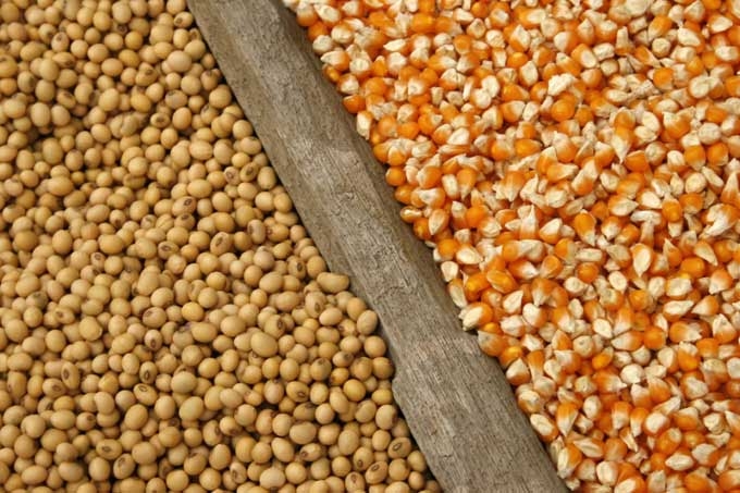 Ảnh minh hoạ. https://kinhtexaydung.petrotimes.vn