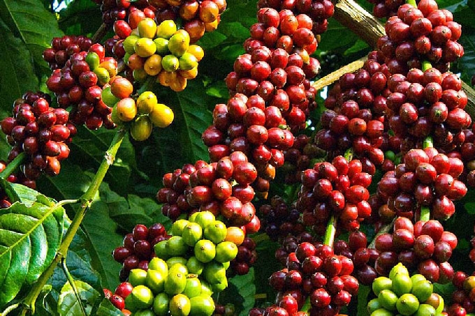 Ảnh minh hoạ,https://kinhtexaydung.petrotimes.vn