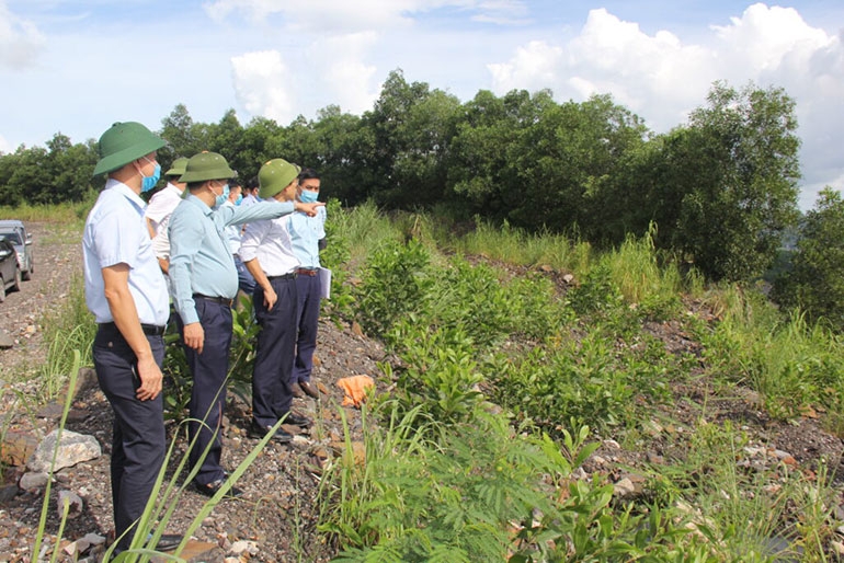 TKV giữ màu xanh cho đất mỏ