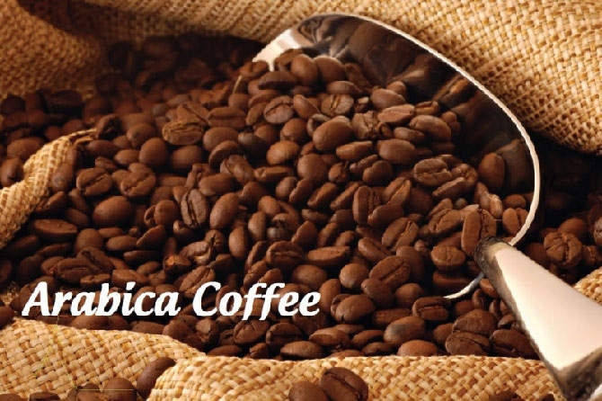 Giá cà phê Arabica và đường duy trì sắc đỏ trong phiên 14/9
