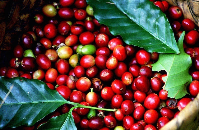 Ảnh minh họa.https://kinhtexaydung.petrotimes.vn