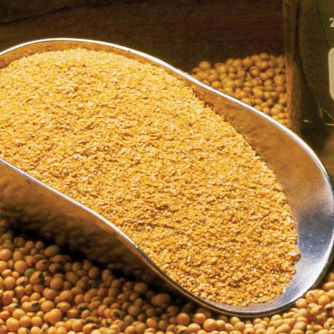 Sắc xanh áp đảo bảng giá các mặt hàng nông sản trong phiên đầu tuần