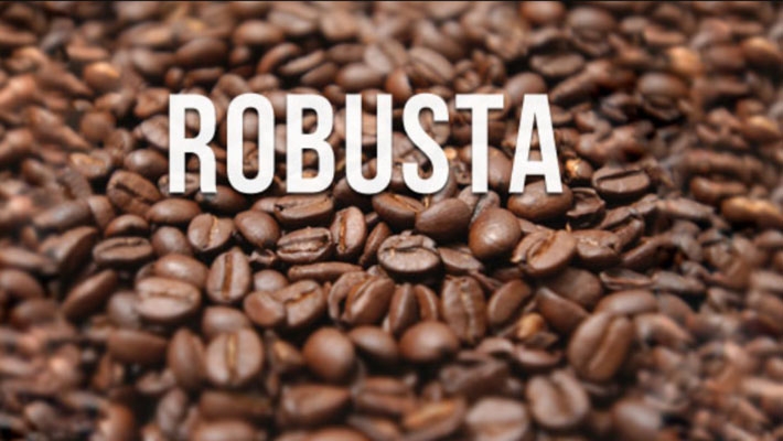 Trước nghỉ Lễ giá cà phê Arabica bất ngờ tăng nhẹ