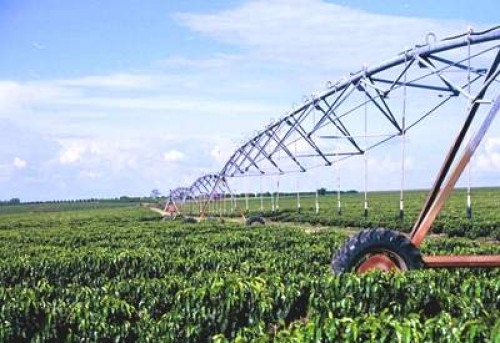 Nam Mỹ tiếp tục có mưa trên diện rộng trừ miền nam Brazil ảnh hưởng như thế nào đến nông sản?