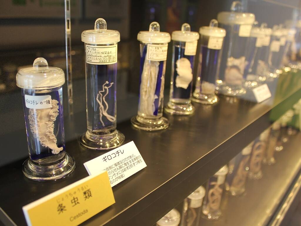 Thú vị 5 bảo tàng kỳ quặc và phá cách nhất hành tinh Thú vị 5 bảo tàng kỳ quặc và phá cách nhất hành tinh