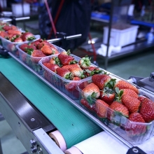 bai cuoi can phai chuyen doi he thong thuc pham toan cau