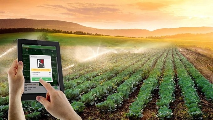 Những điểm sáng của kinh tế Việt Nam