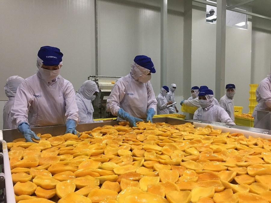 Xuất khẩu 11 tháng tăng trưởng 18,5%