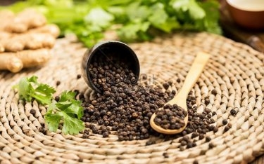 Giá tiêu hôm nay 11/2: Tiếp tục tăng ở một số địa phương