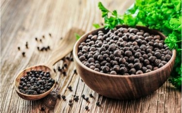 Giá tiêu hôm nay 31/3: Giữ ổn định ở các vùng trồng trọng điểm Giá tiêu hôm nay 31/3: Giữ ổn định ở các vùng trồng trọng điểm