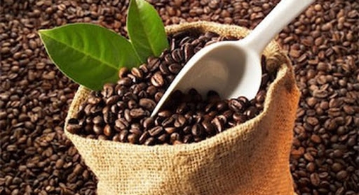 Giá cà phê hôm nay 30/5: Thị trường trong nước đi ngang