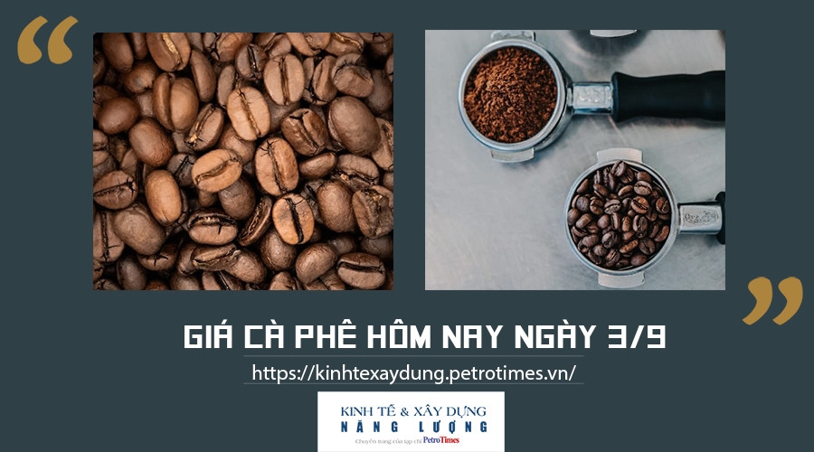 Giá cà phê hôm nay ngày 3/9: Tăng nhẹ tại một số địa phương