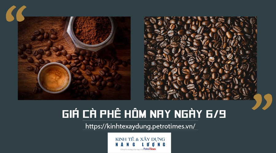 Giá cà phê hôm nay 6/9: Biến động trái chiều giữa Robusta và Arabica