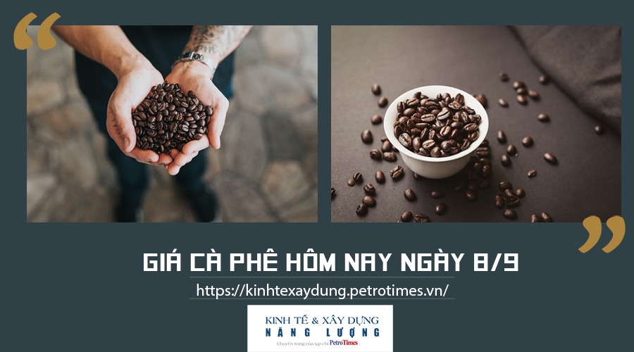 Giá cà phê hôm nay ngày 8/9: Tăng nhẹ tại các vùng trọng điểm