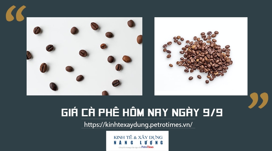 Giá cà phê hôm nay ngày 9/9: Đi ngang tại thị trường trong nước