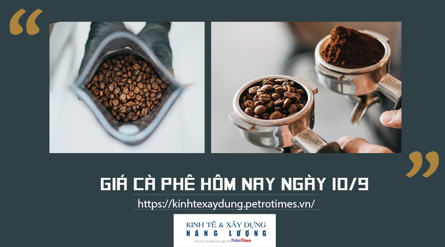 Giá cà phê hôm nay ngày 10/9: Quay đầu giảm
