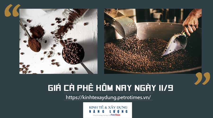 Giá cà phê hôm nay ngày 11/9: Tiếp tục giảm tại một số địa phương trọng điểm