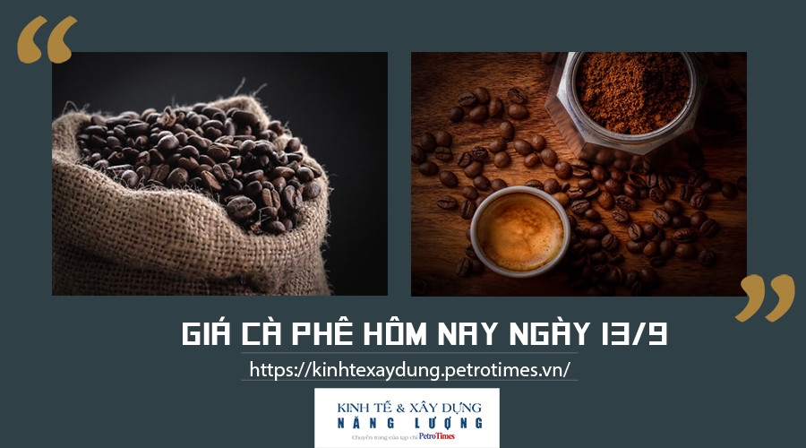Giá cà phê hôm nay ngày 13/9: Giảm nhẹ tại một số địa phương trọng điểm